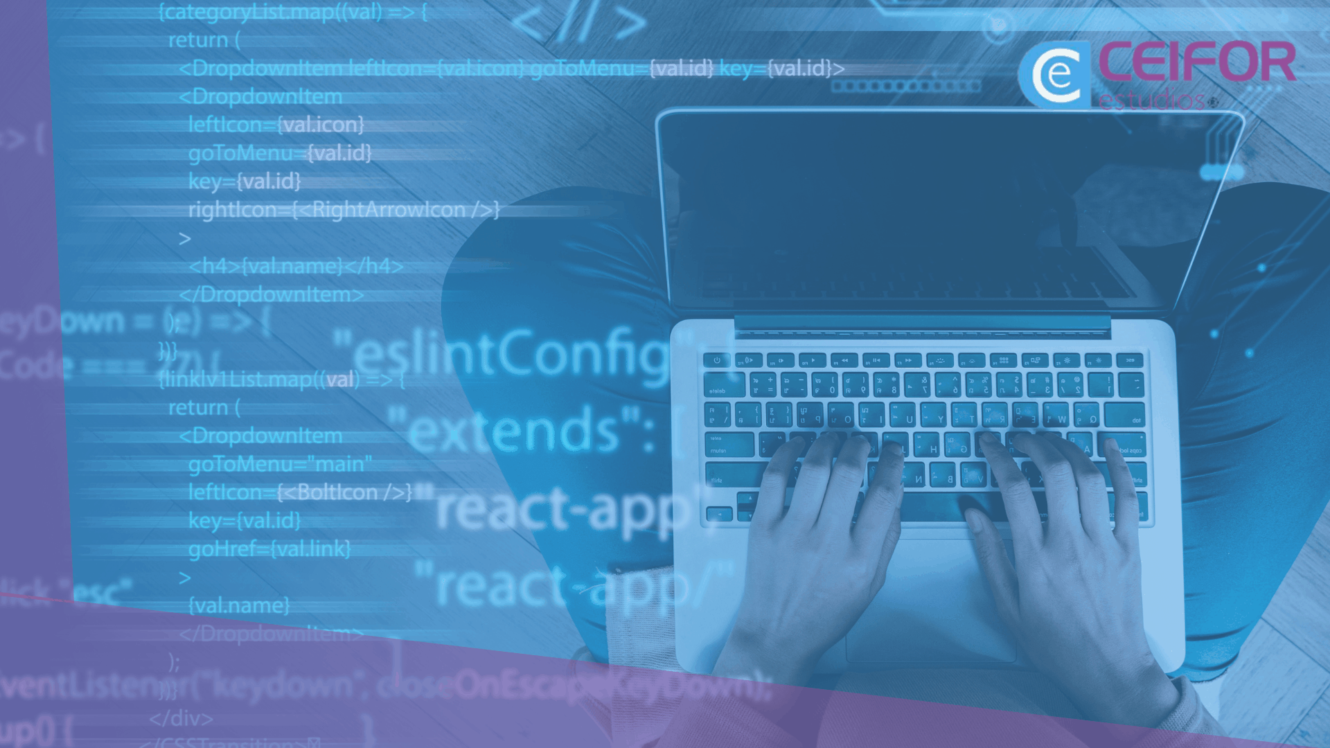 Técnico Superior en desarrollo de app Web